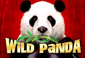 Wild Panda Slot Game